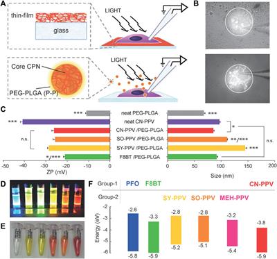 Photosensitized and Photothermal Stimulation of Cellular Membranes by Organic Thin Films and Nanoparticles